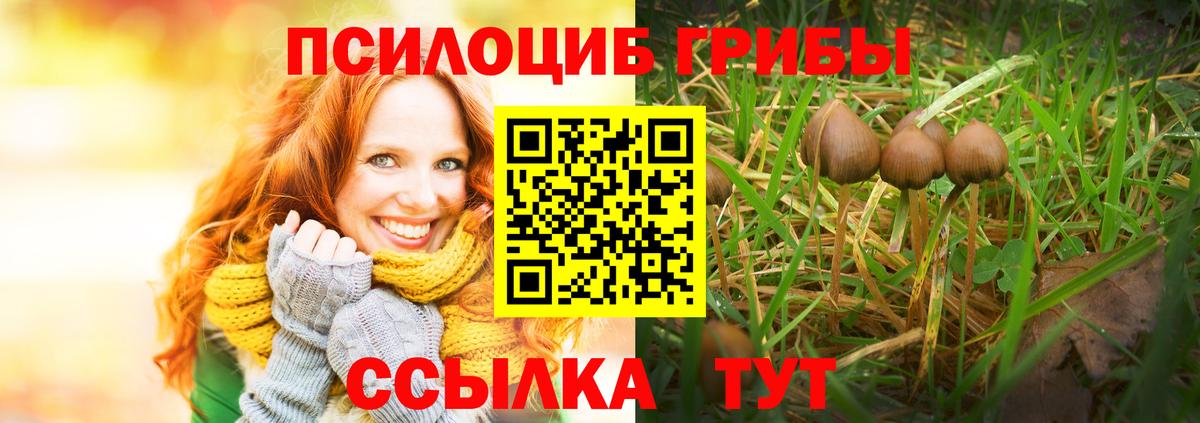 Галлюциногенные грибы Cubensis  Псилоцибиновые грибы ЛСД  Вход с VPN  Северск 
